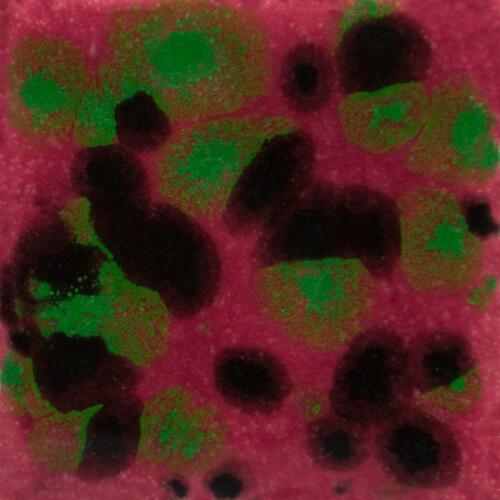 Mayco Jungle Gems Lowfire Brushable Glaze CG-1005 Maroon Lagoon — example fired result