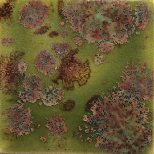 Mayco Jungle Gems Lowfire Brushable Glaze CG-716 Pagoda Green — example fired result