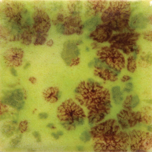 Mayco Jungle Gems Lowfire Brushable Glaze CG-717 Pistachio — example fired result
