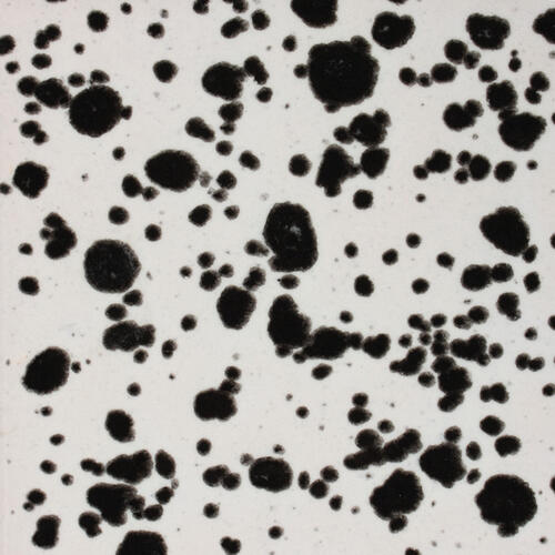 Mayco Jungle Gems Lowfire Brushable Glaze CG-977 Ink Spots — example fired result