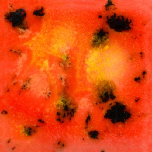 Mayco Jungle Gems Lowfire Brushable Glaze CG-1002 Day Lily — example fired result