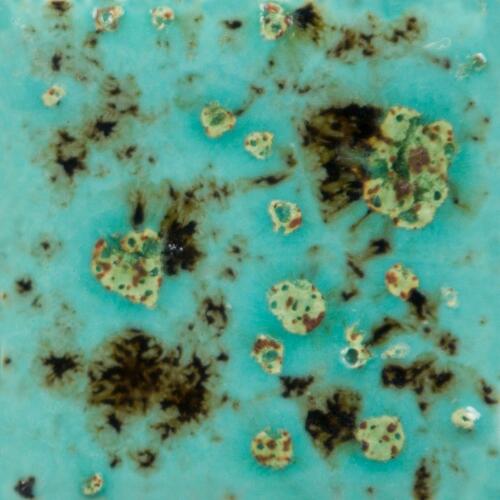 Mayco Jungle Gems Lowfire Brushable Glaze CG-1008 Blue Guppy — example fired result