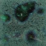 Mayco Jungle Gems Lowfire Brushable Glaze CG-713 Peacock Green — example fired result
