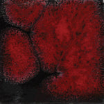 Mayco Jungle Gems Lowfire Brushable Glaze CG-779 Black Opal — example fired result