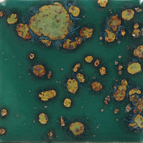 Mayco Jungle Gems Lowfire Brushable Glaze CG-780 Mystic Jade — example fired result