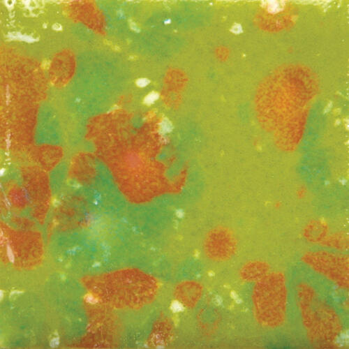 Mayco Jungle Gems Lowfire Brushable Glaze CG-987 Tree Frog — example fired result