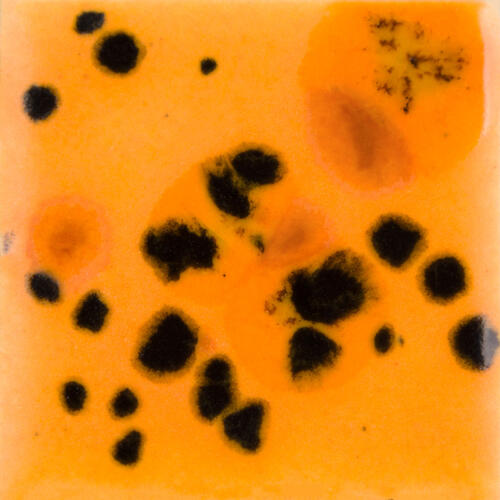 Mayco Jungle Gems Lowfire Brushable Glaze CG-1013 Papaya — example fired result