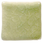 Amaco Kiln Ice Brushable Glaze KI-46 Frozen Fern — example fired result