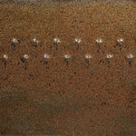 Amaco Potters Choice Midfire Brushable Glaze PC-69 Cosmic Gold Dust — example fired result