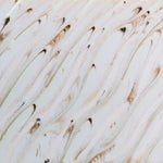 Amaco Potters Choice Flux Midfire Brushable Glaze PCF-74 River Birch — example fired result