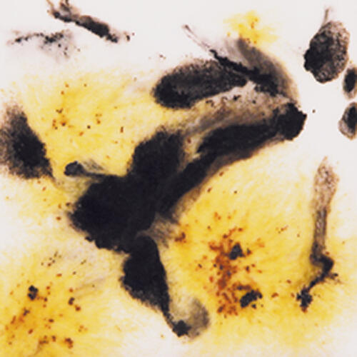 Mayco Jungle Gems Lowfire Brushable Glaze S-2726 Cheetah — example fired result