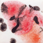 Mayco Jungle Gems Lowfire Brushable Glaze S-2727 Poppy Fields — example fired result