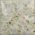 Mayco Stoneware Midfire Brushable Glaze SW-225 Lily Pad — example fired result