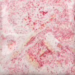 Mayco Stoneware Midfire Brushable Glaze SW-226 Pink Pearl — example fired result